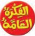 الفكرة العامة